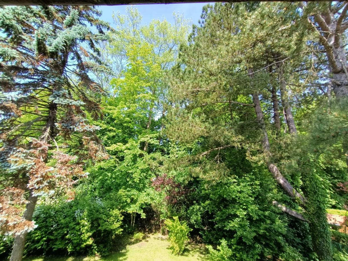 Villa 100 M Du Touquet Entre Foret Et Mer Cucq Dış mekan fotoğraf